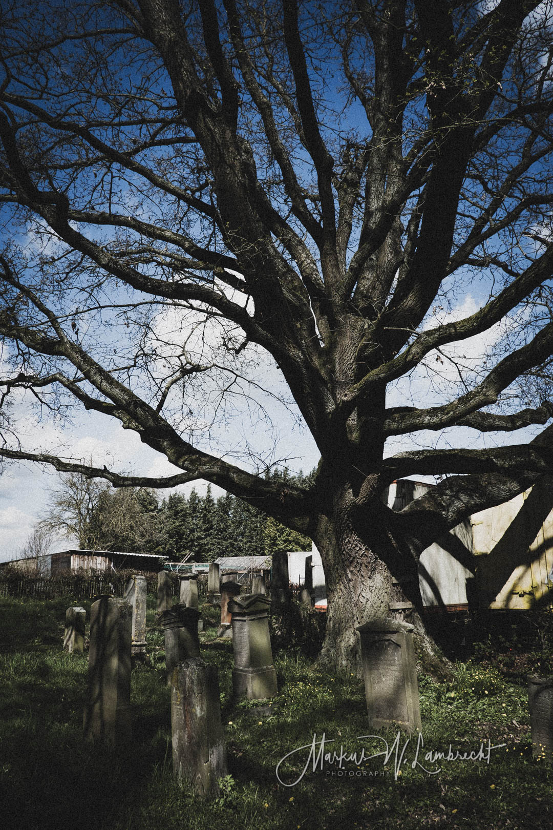Großeneder, Jüdischer Friedhof
